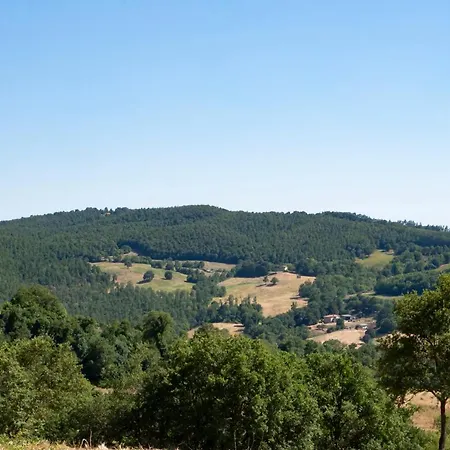 Tenuta San Lodovico Luxury tent *