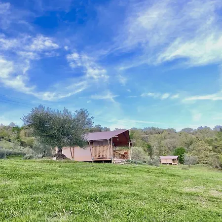 Tenuta San Lodovico
